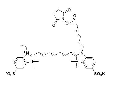 Cy7-NHS
