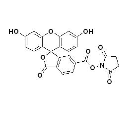 6-Ȼӫ-NHS