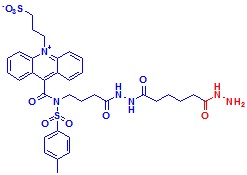 ߹ऻNSP-SA-ADH