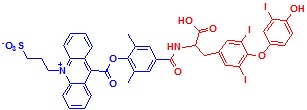 ߹-T3